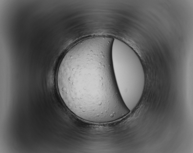X0000094770347200711160835