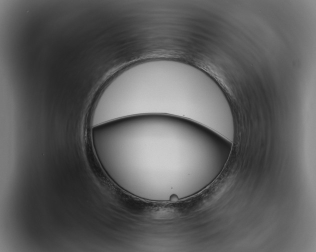 X0000094770348200711160835