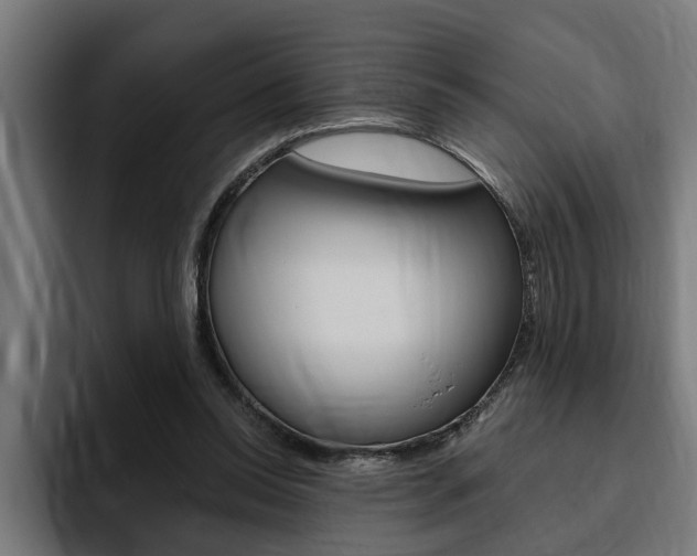 X0000094770350200711160835
