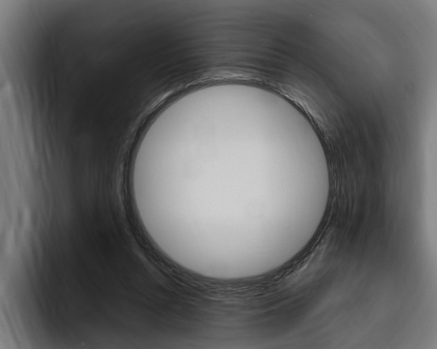 X0000094770352200711160835
