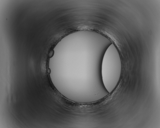 X0000094770353200711160835