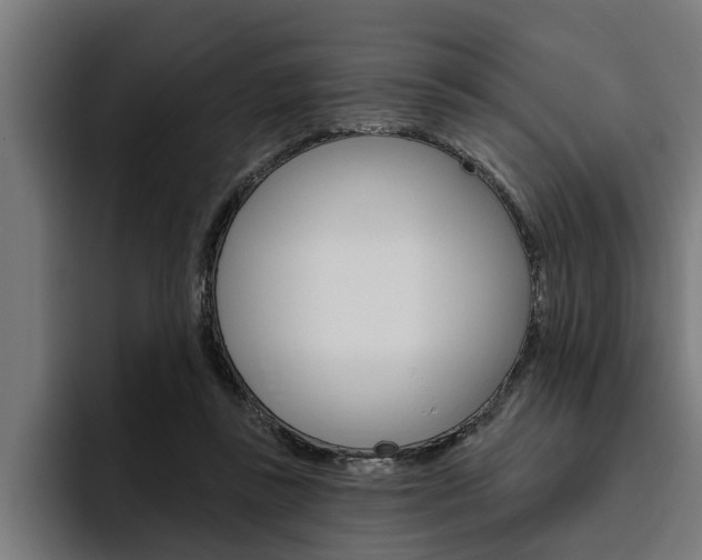 X0000094770355200711160835