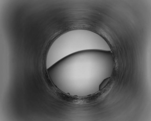 X0000094770356200711160835