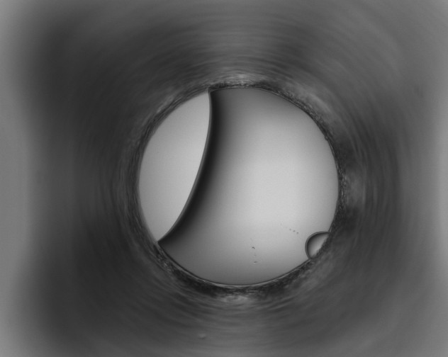 X0000094770358200711160835