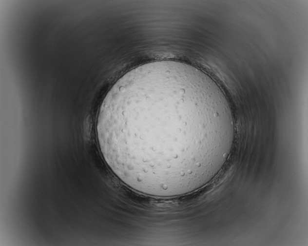 X0000094770359200711160835