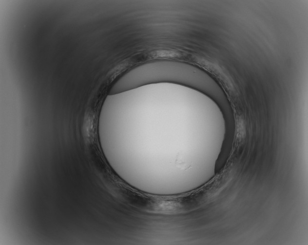 X0000094770360200711160835