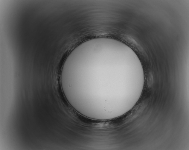 X0000094770366200711160835