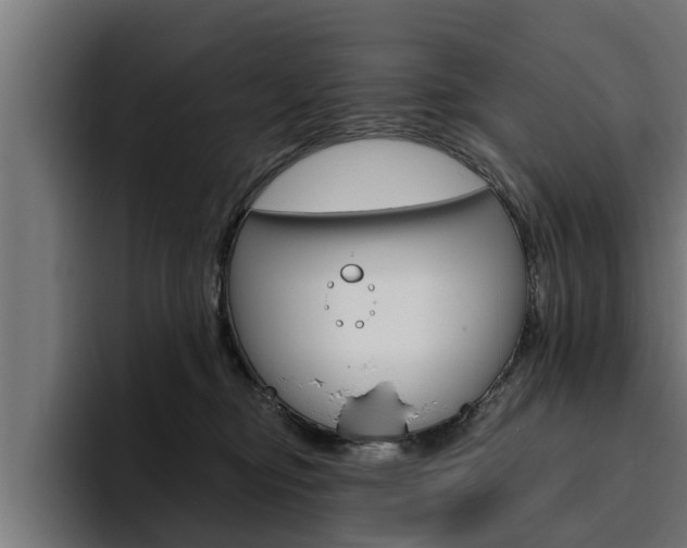 X0000094770374200711160835
