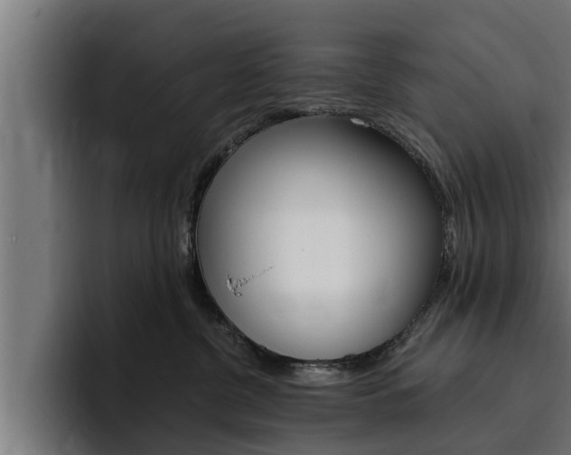 X0000094770380200711160835