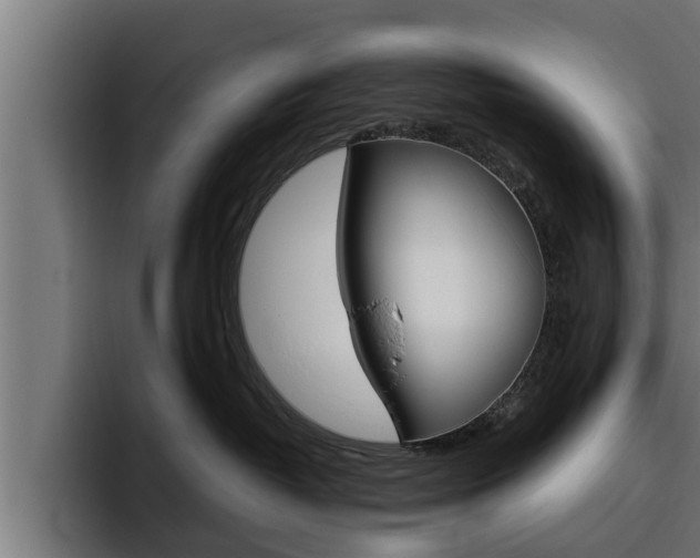 X0000094770382200711160835