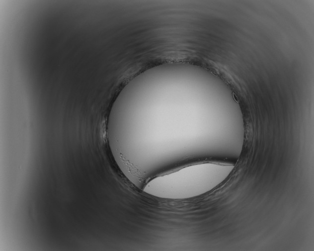 X0000094770383200711160835