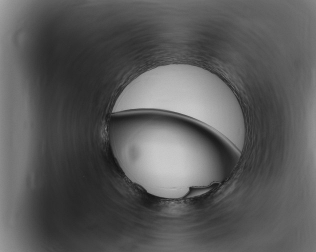 X0000094770384200711160835