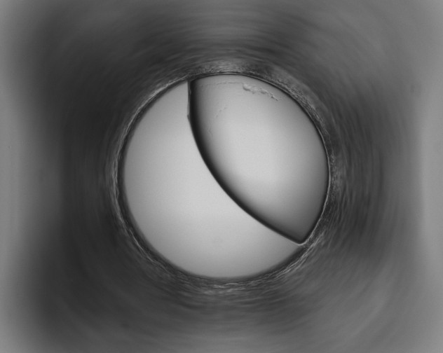X0000094770386200711160834