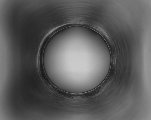 X0000094770388200711160834