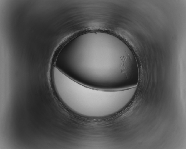 X0000094770391200711160834