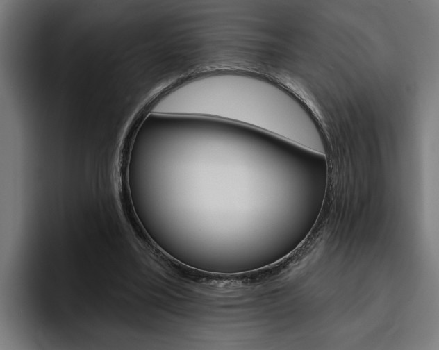 X0000094770395200711160834