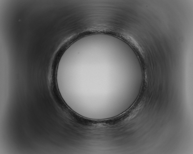 X0000094770396200711160834