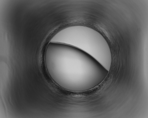 X0000094770400200711160834
