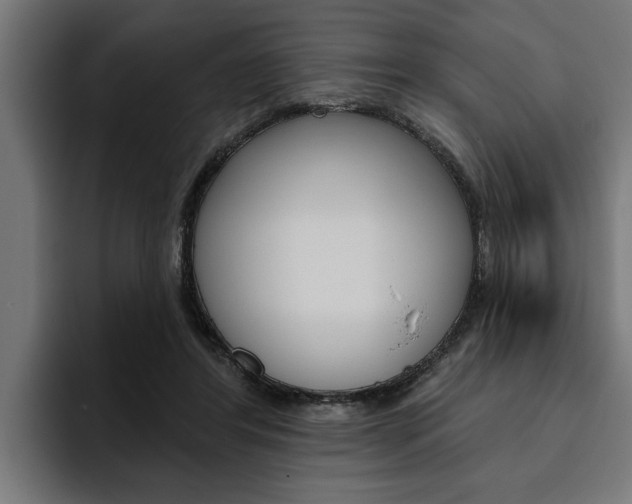 X0000094770404200711160834