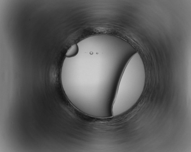 X0000094770408200711160834