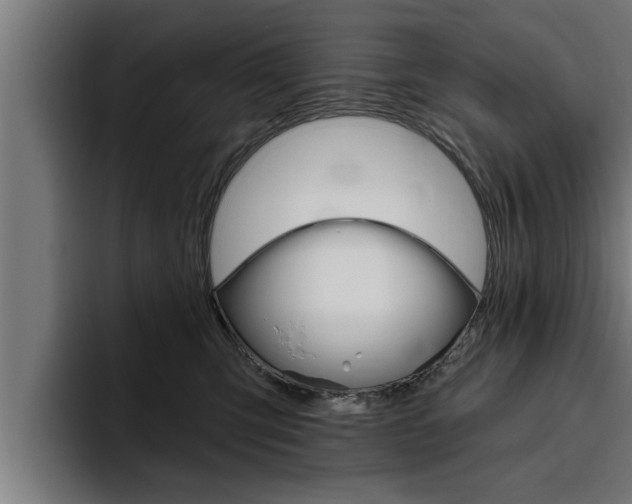 X0000094770423200711160834