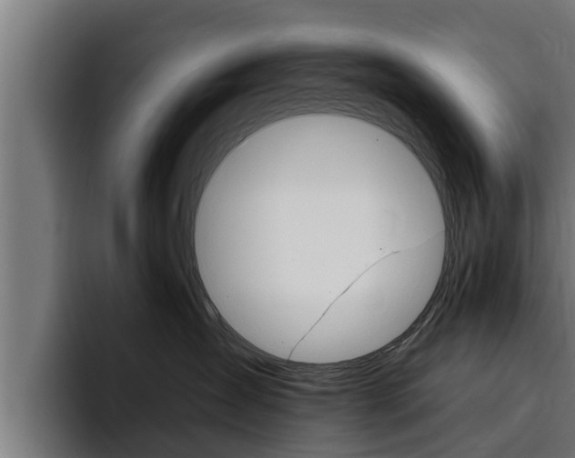 X0000094770431200711160834