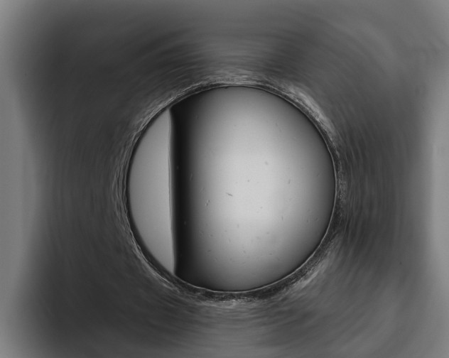 X0000094770433200711160833