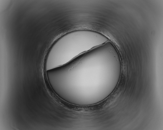 X0000094770434200711160833
