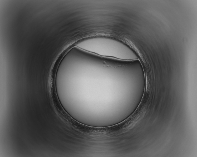 X0000094770435200711160833