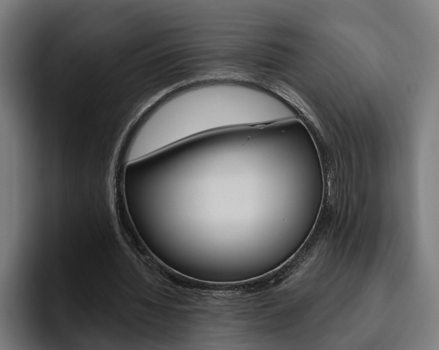 X0000094770436200711160833
