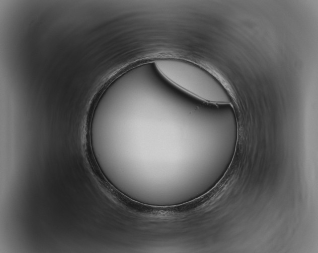 X0000094770437200711160833