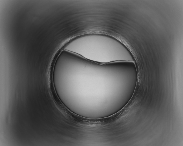 X0000094770438200711160833