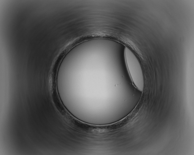 X0000094770444200711160833