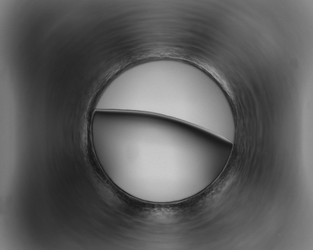 X0000094770445200711160833