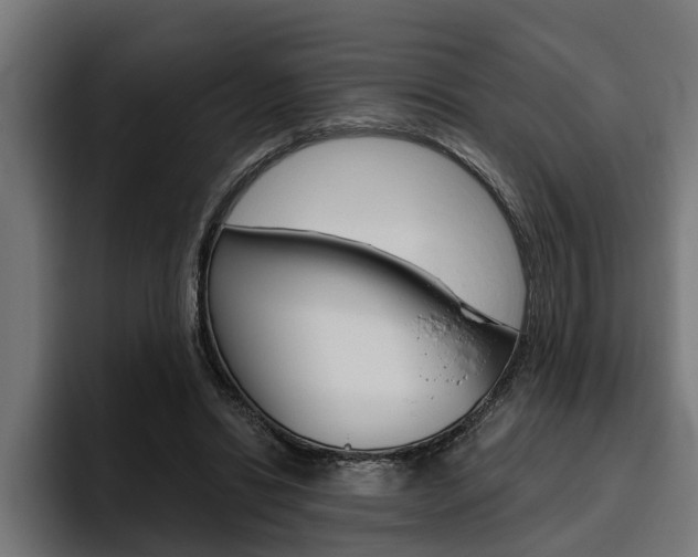 X0000094770446200711160833