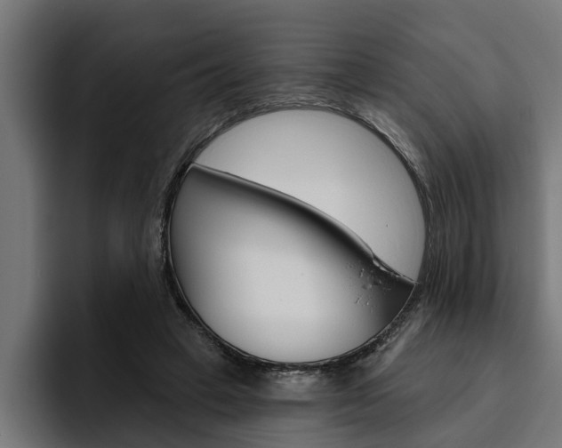 X0000094770449200711160833
