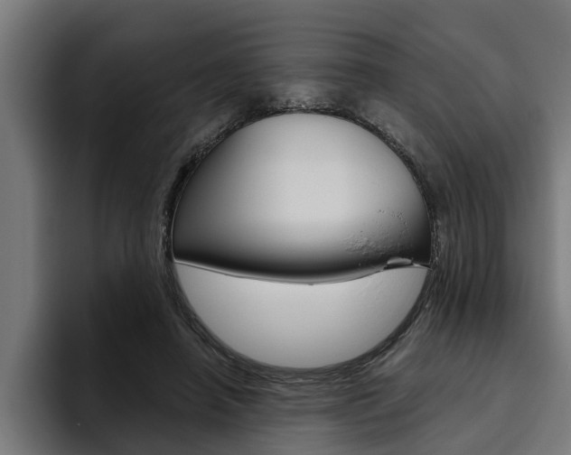 X0000094770450200711160833