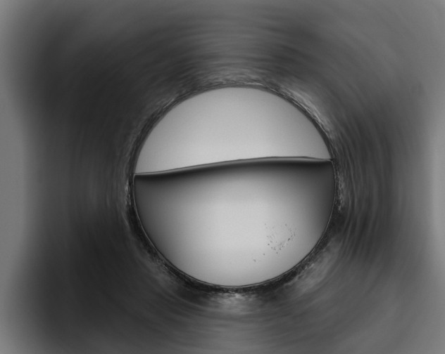 X0000094770453200711160833