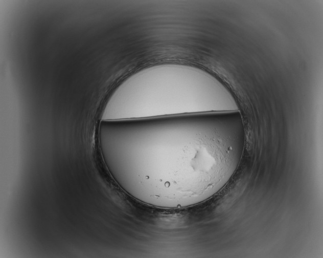X0000094770454200711160833