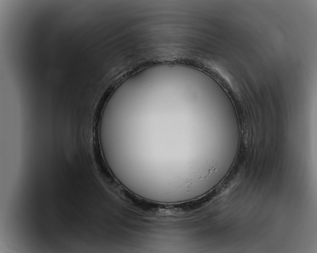 X0000094770455200711160833