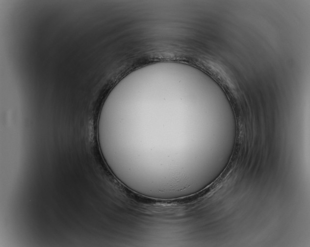 X0000094770457200711160833