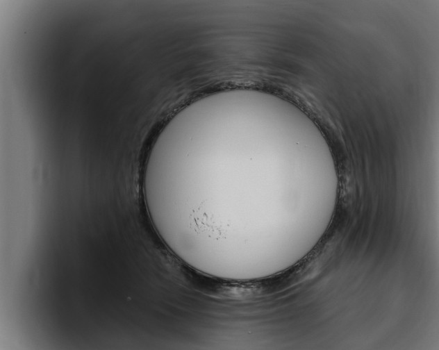 X0000094770466200711160834
