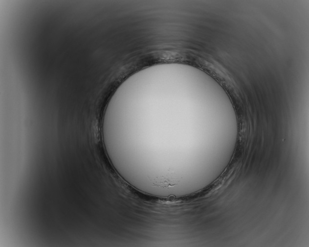 X0000094770469200711160834