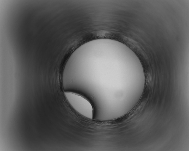 X0000094770470200711160834