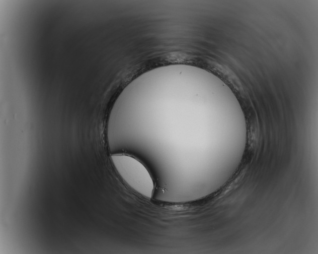 X0000094770473200711160834