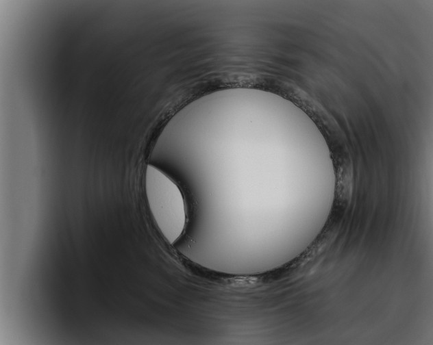 X0000094770474200711160834