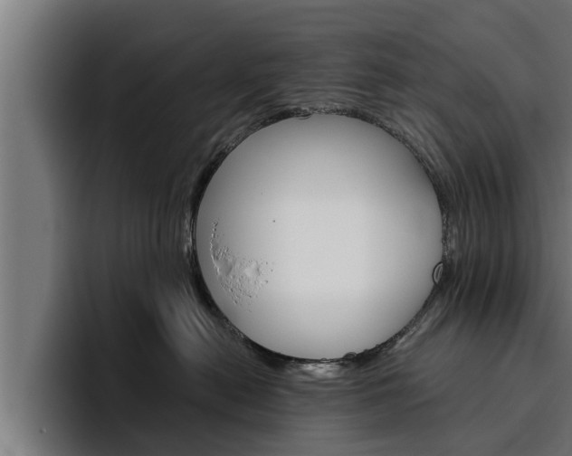 X0000094770478200711160834