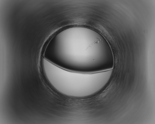 X0000094770484200711160833
