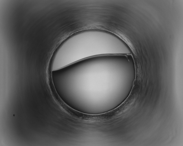 X0000094770485200711160833