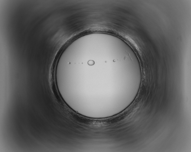 X0000094770487200711160833